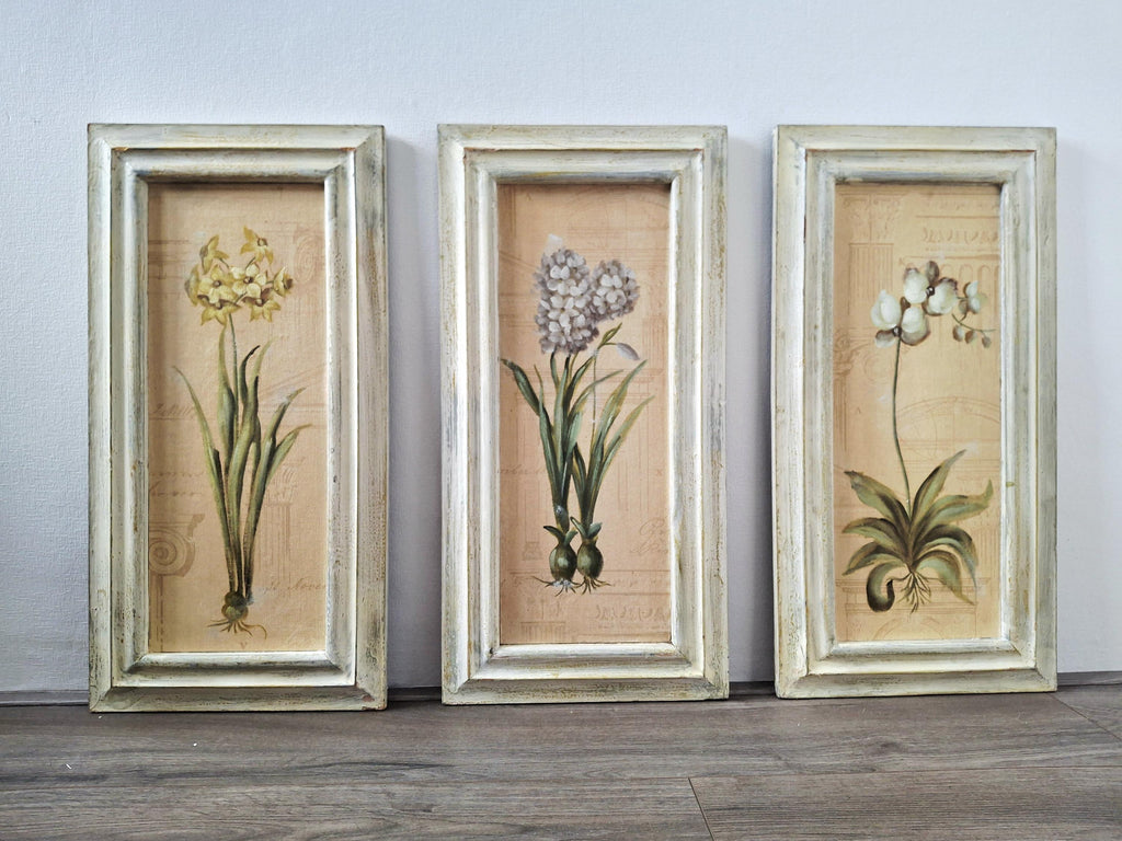 Set of three framed botanical wall art pieces on textured paper, Cheri blum vintage