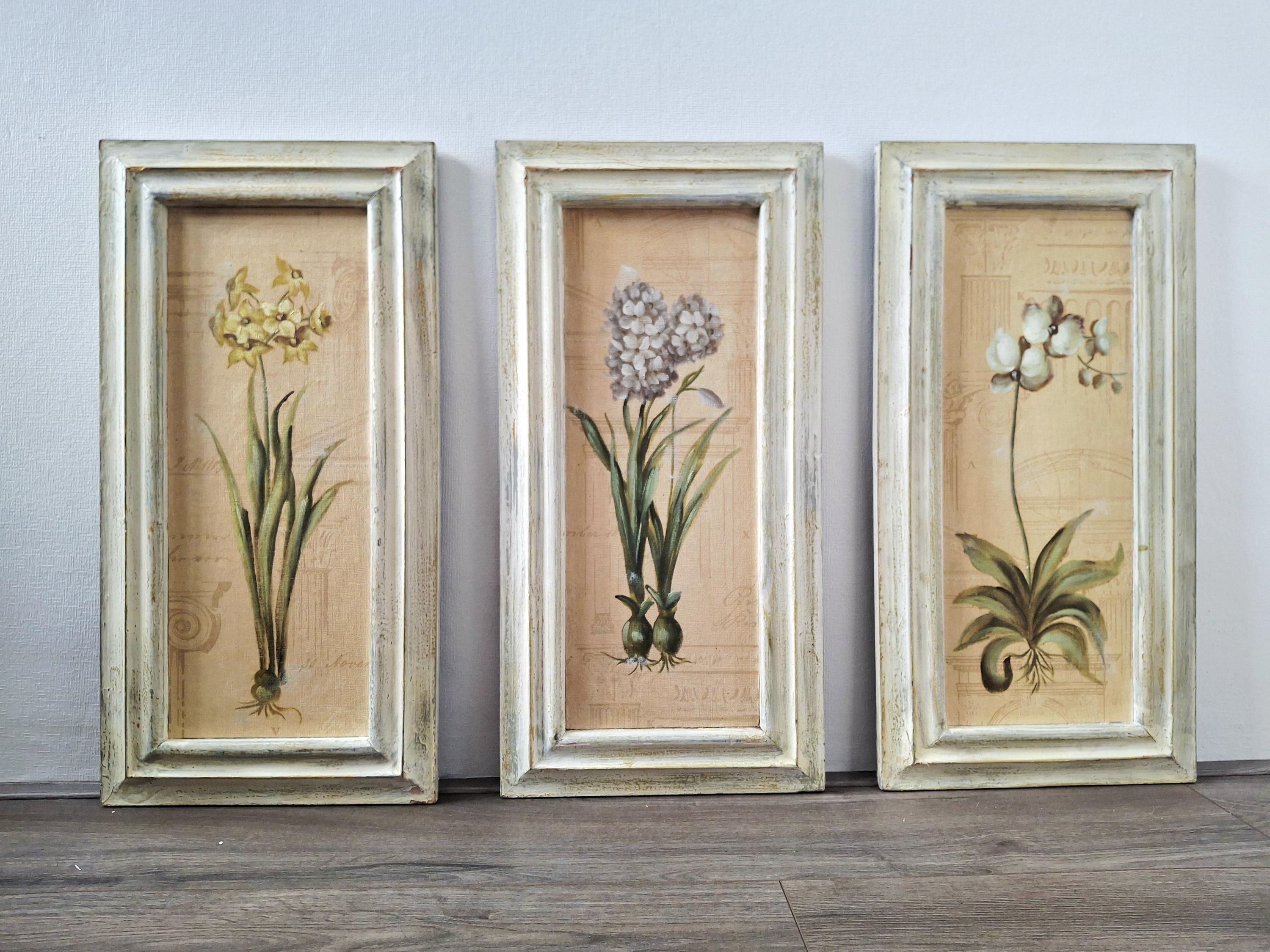 Set of three framed botanical wall art pieces on textured paper, Cheri blum vintage