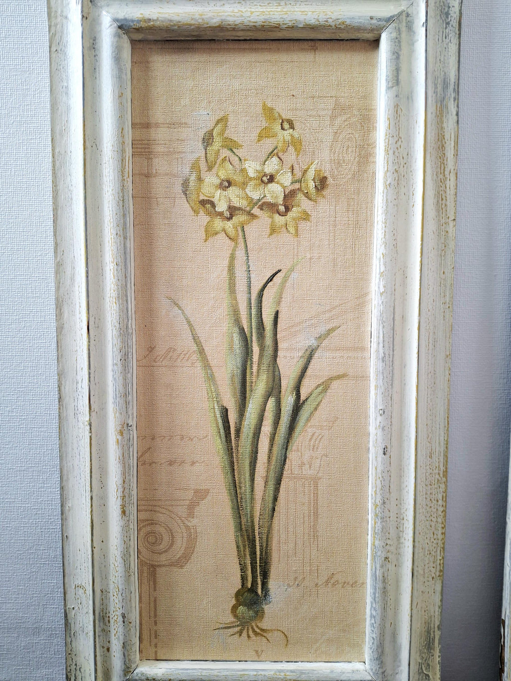 Set of three framed botanical wall art pieces on textured paper, Cheri blum vintage