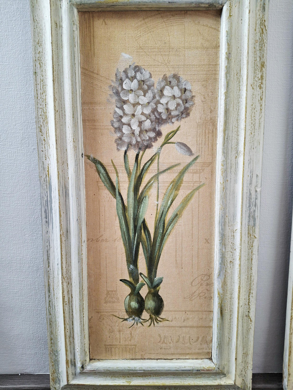 Set of three framed botanical wall art pieces on textured paper, Cheri blum vintage