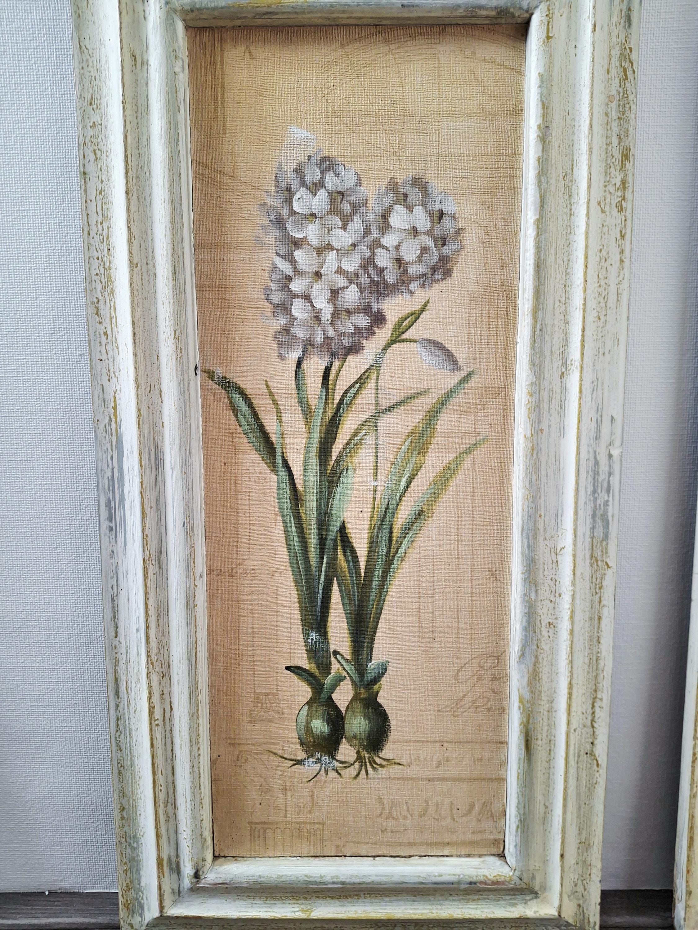 Set of three framed botanical wall art pieces on textured paper, Cheri blum vintage