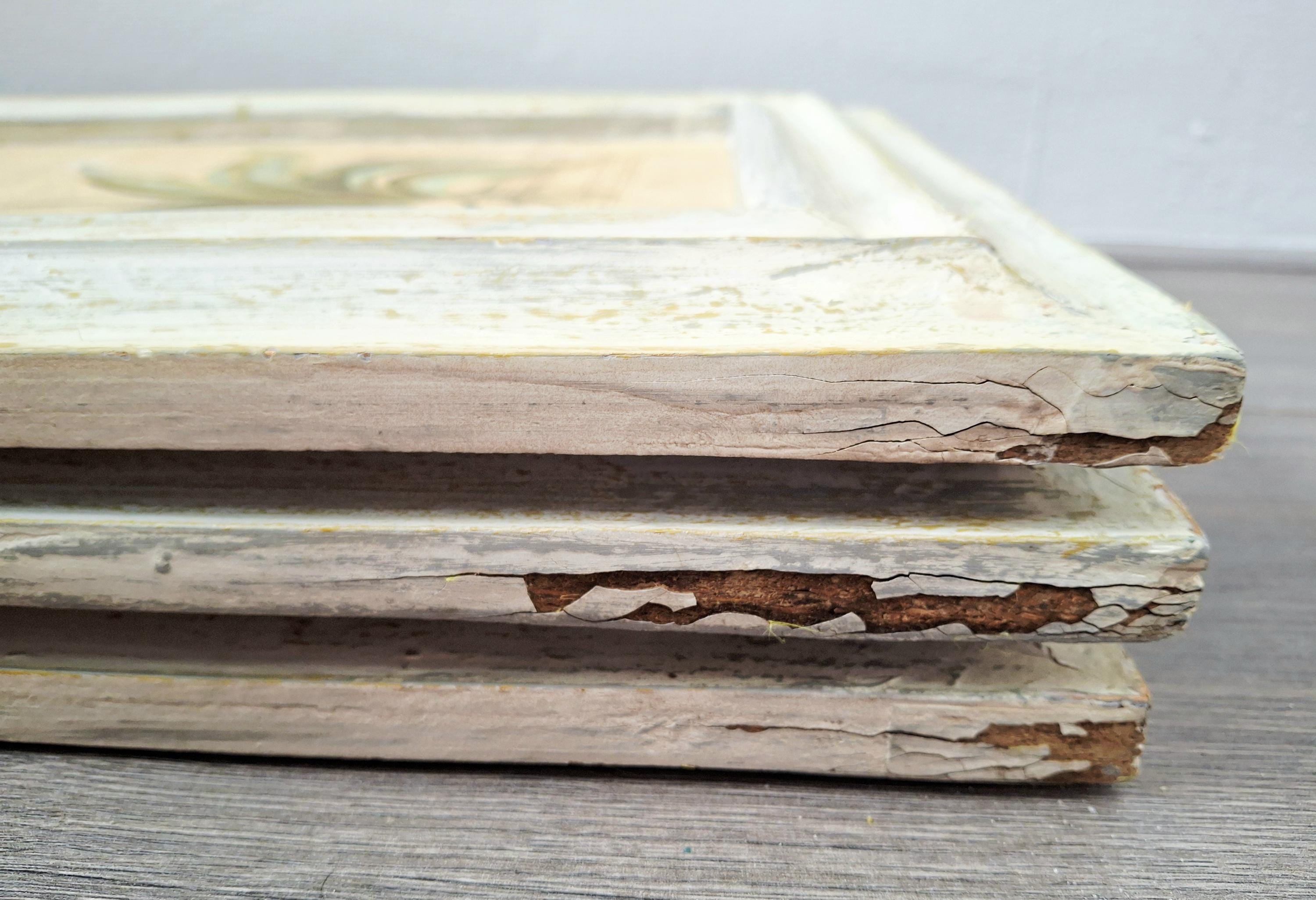 Set of three framed botanical wall art pieces on textured paper, Cheri blum vintage