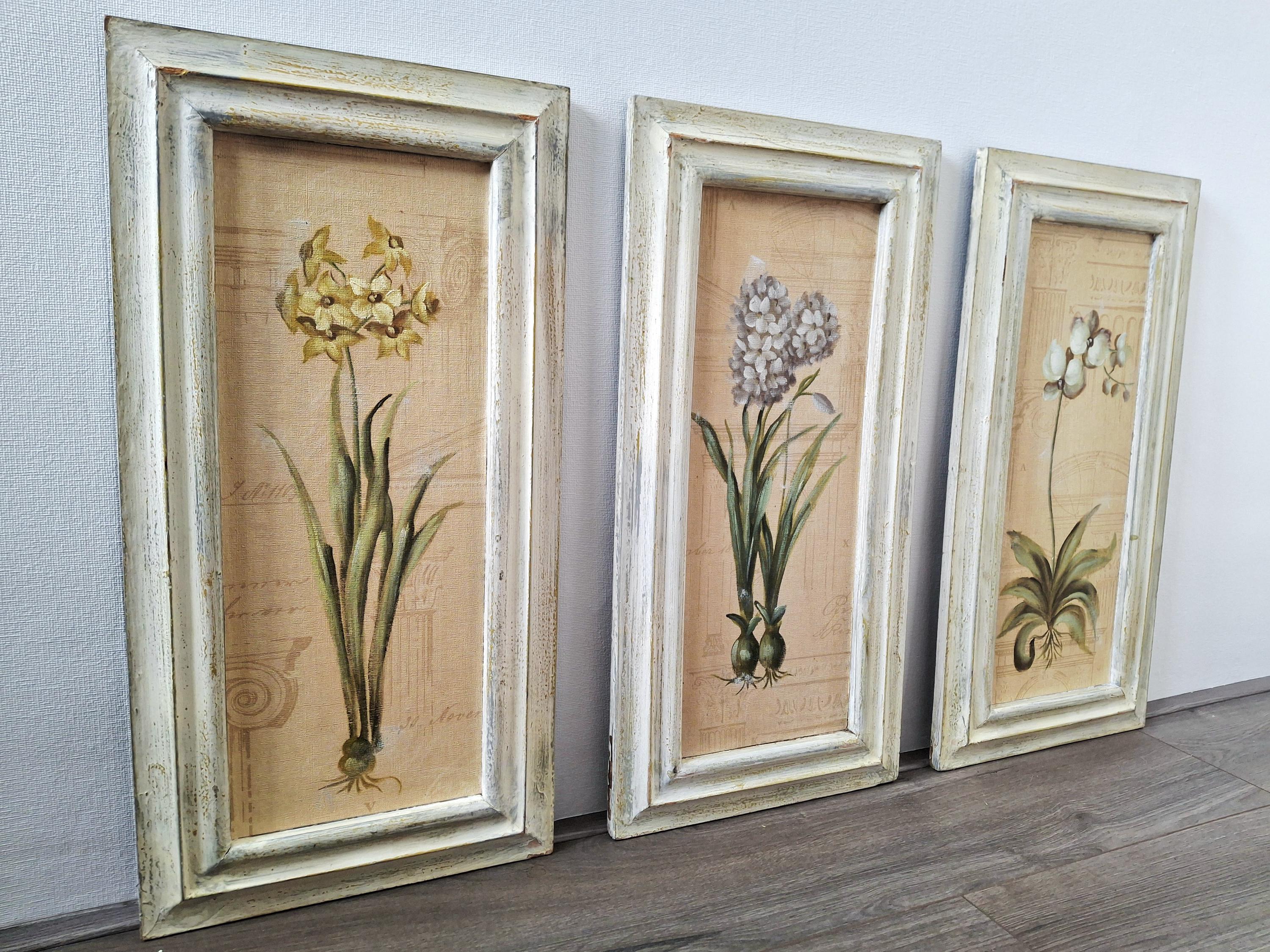 Set of three framed botanical wall art pieces on textured paper, Cheri blum vintage