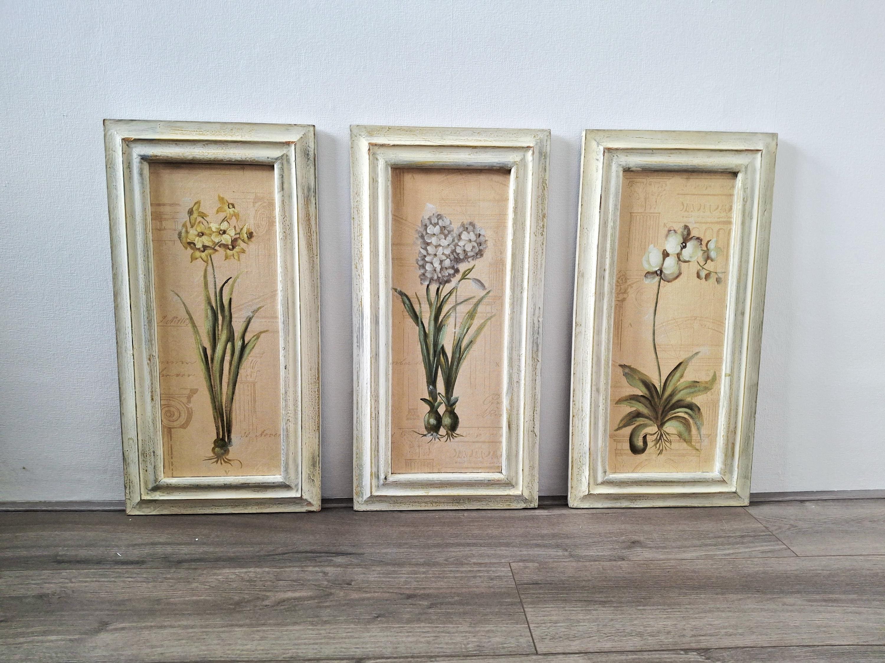 Set of three framed botanical wall art pieces on textured paper, Cheri blum vintage