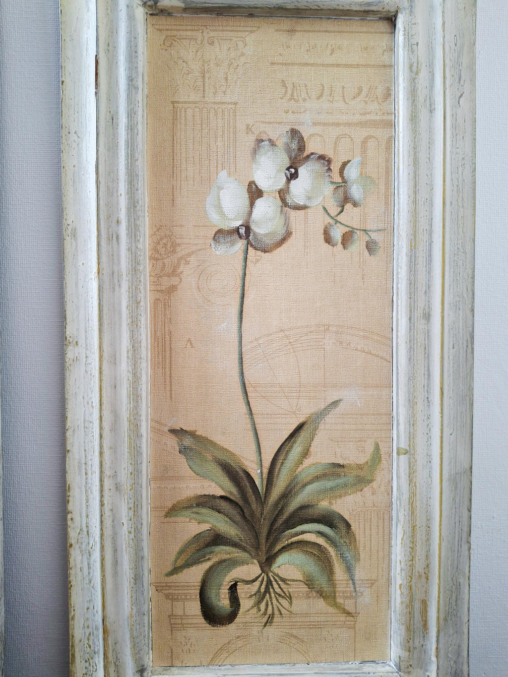 Set of three framed botanical wall art pieces on textured paper, Cheri blum vintage