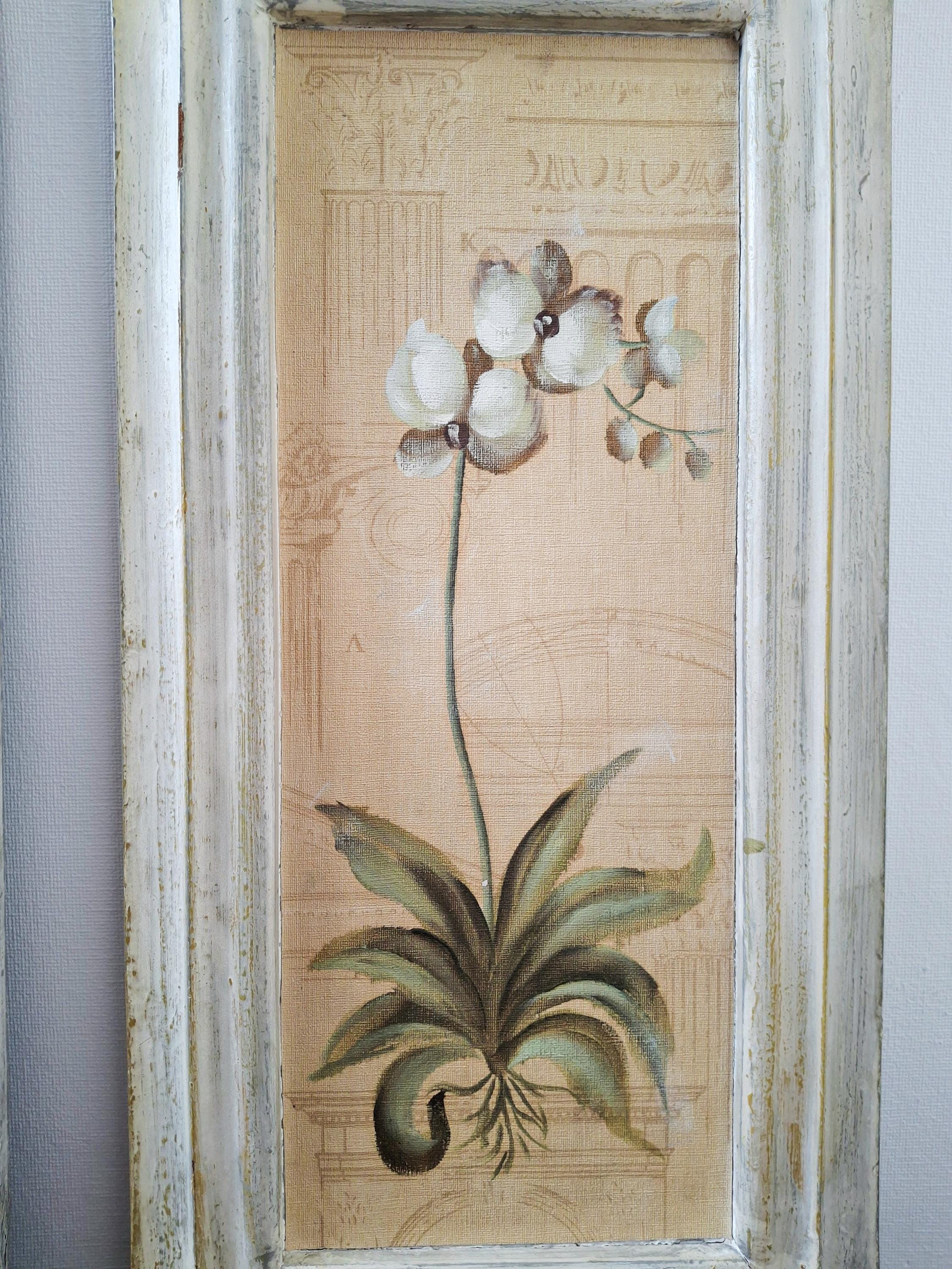 Set of three framed botanical wall art pieces on textured paper, Cheri blum vintage