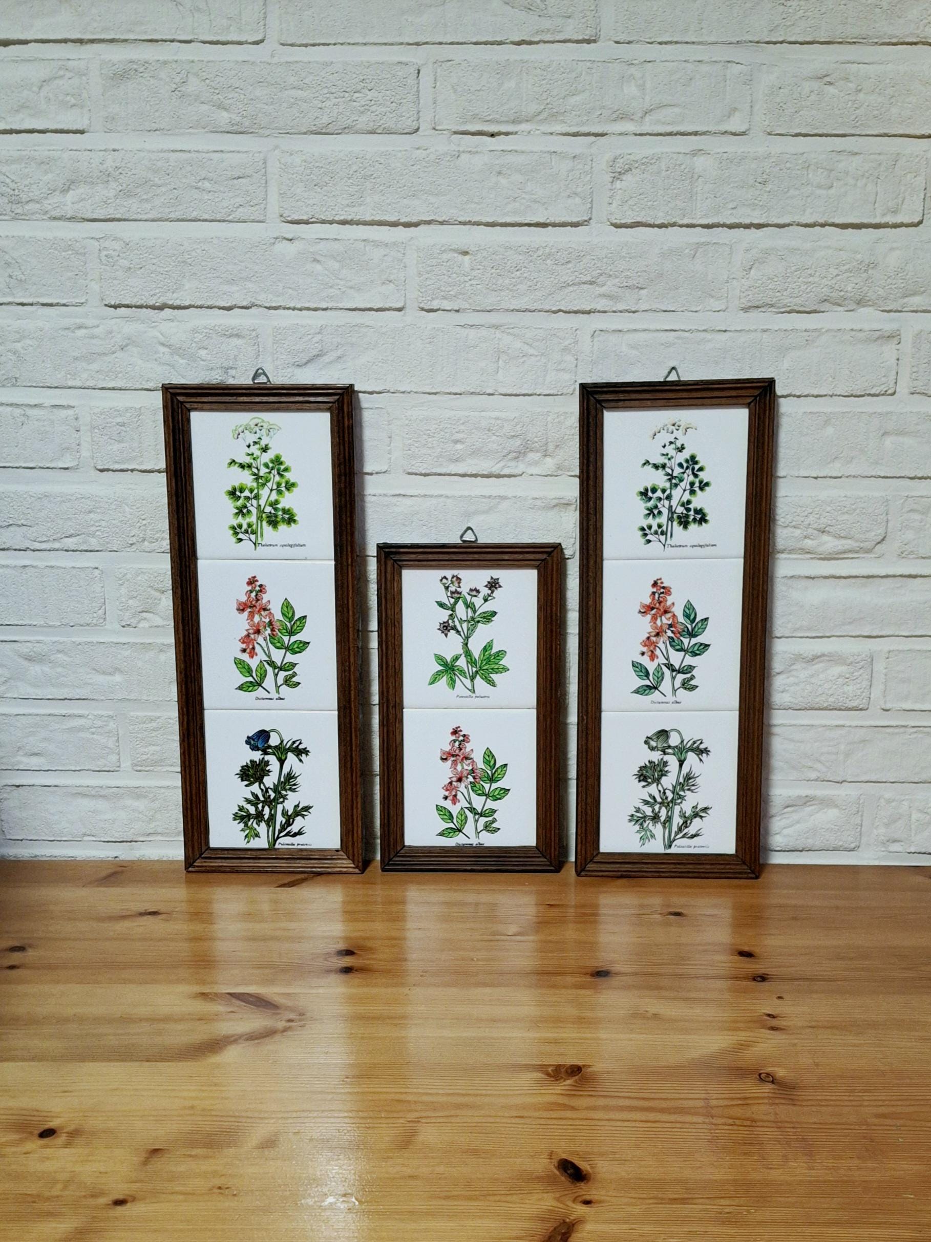 Set of three framed herbal tiles with Latin names