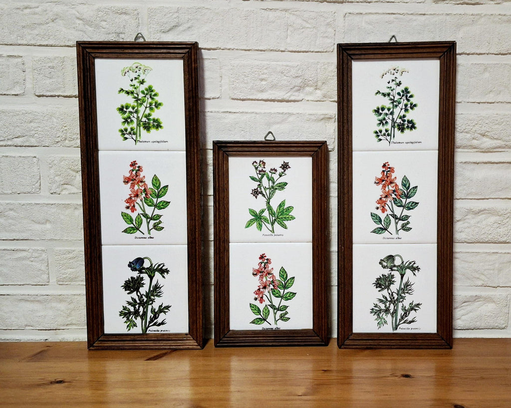 Set of three framed herbal tiles with Latin names